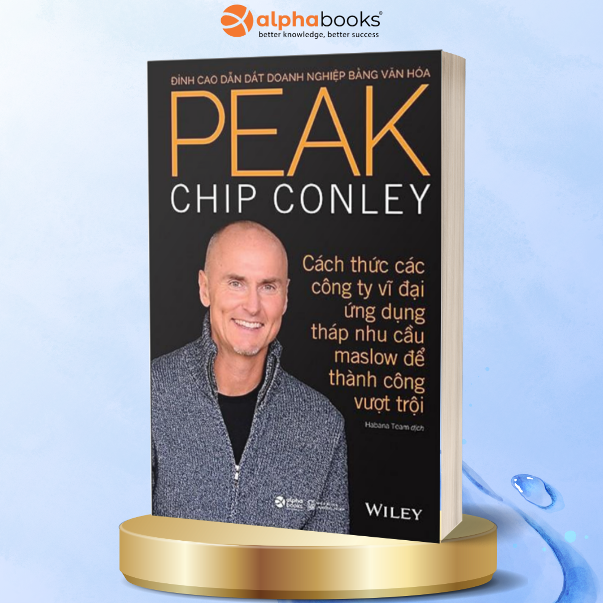 Peak Đỉnh Cao Dẫn Dắt Doanh Nghiệp Bằng Văn Hóa
