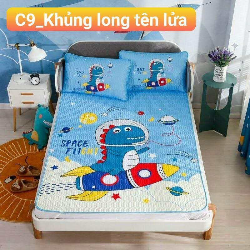 Chiếu Điều Hòa Cao Su Non 6D Hàng Loại 1 Cao Cấp