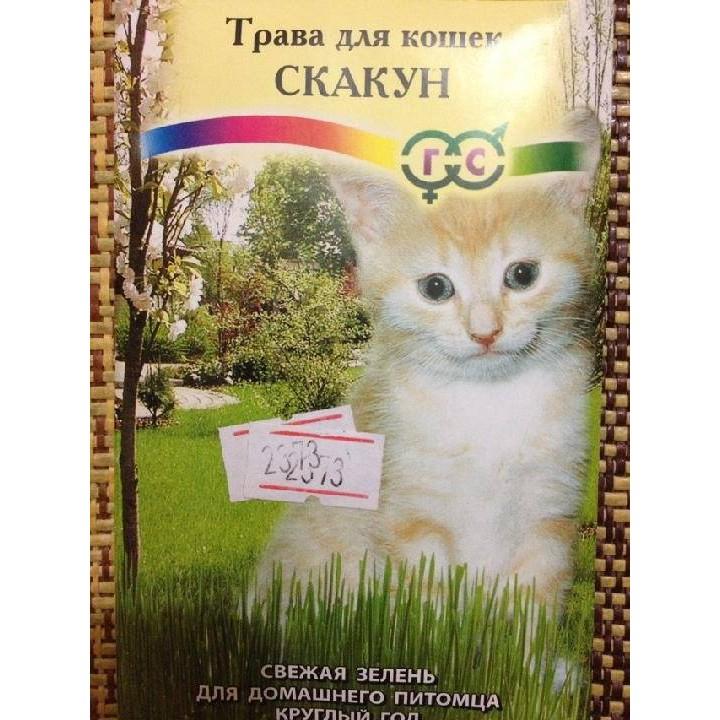 Hạt giống cỏ lúa mì lúa mạch - 1 gói 100gram