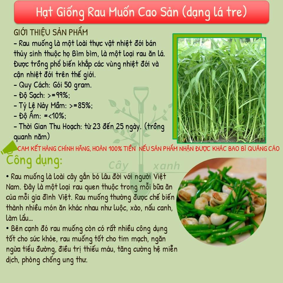 Hạt Giống Rau Muống Lá Tre Cao Sản, Dễ Trồng, Siêu Năng Suất 50G - Phú Nông