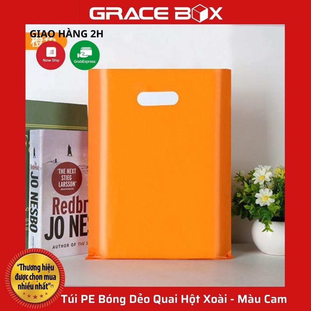 1 Kg Túi PE Bóng Dẻo - Nhiều Màu - Quai Hột Xoài Đựng Phụ Kiện, Quần Áo - Siêu Thị Bao Bì Grace Box