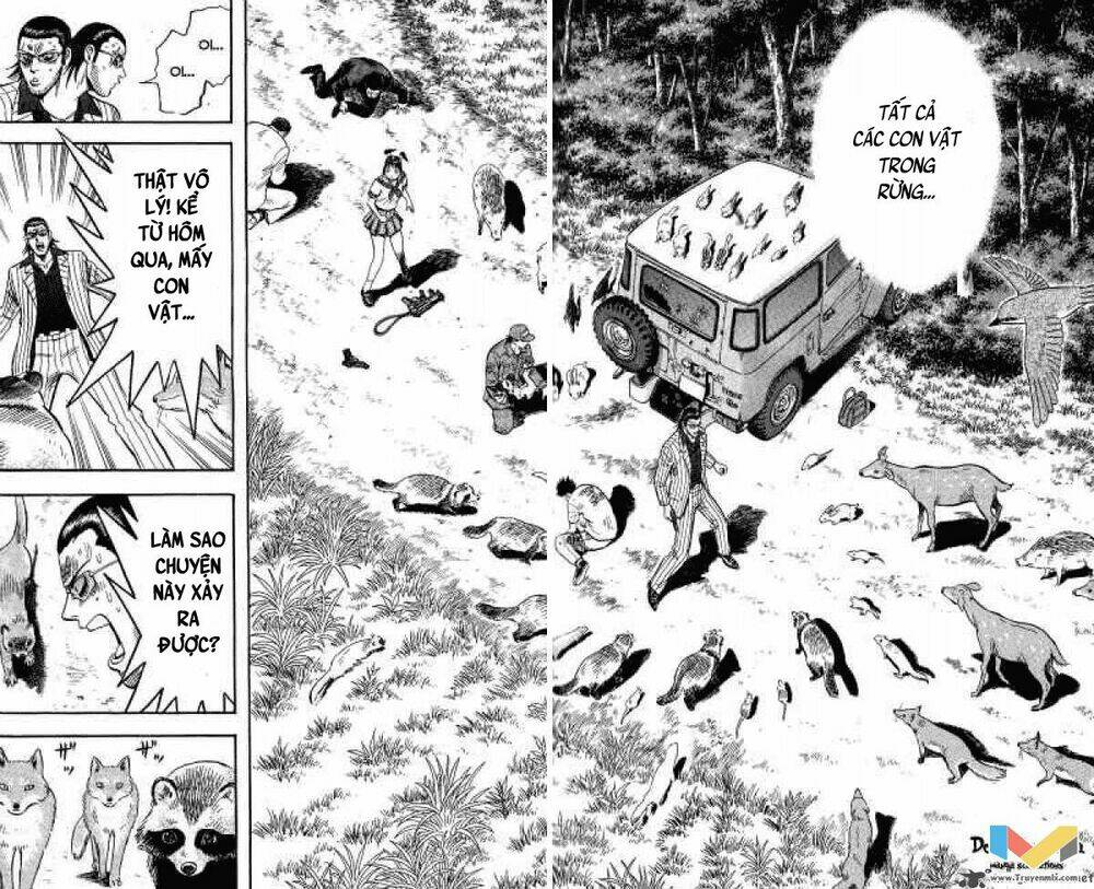 animal sense chapter 13 30