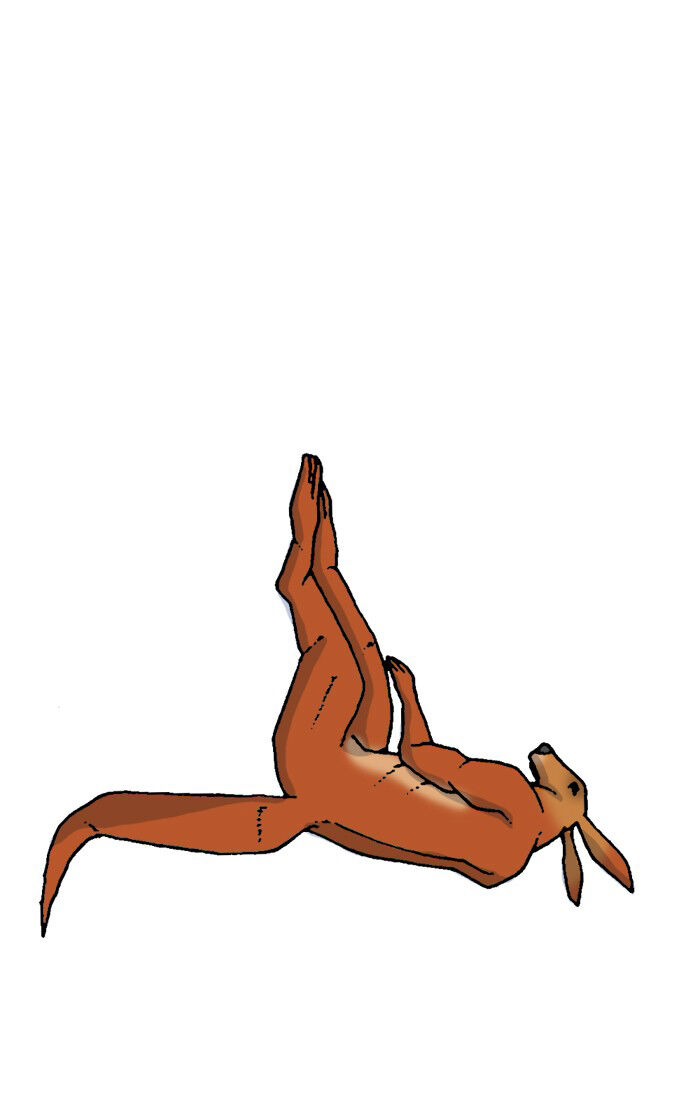 mắc kẹt trên mặt trăng chapter 9 51