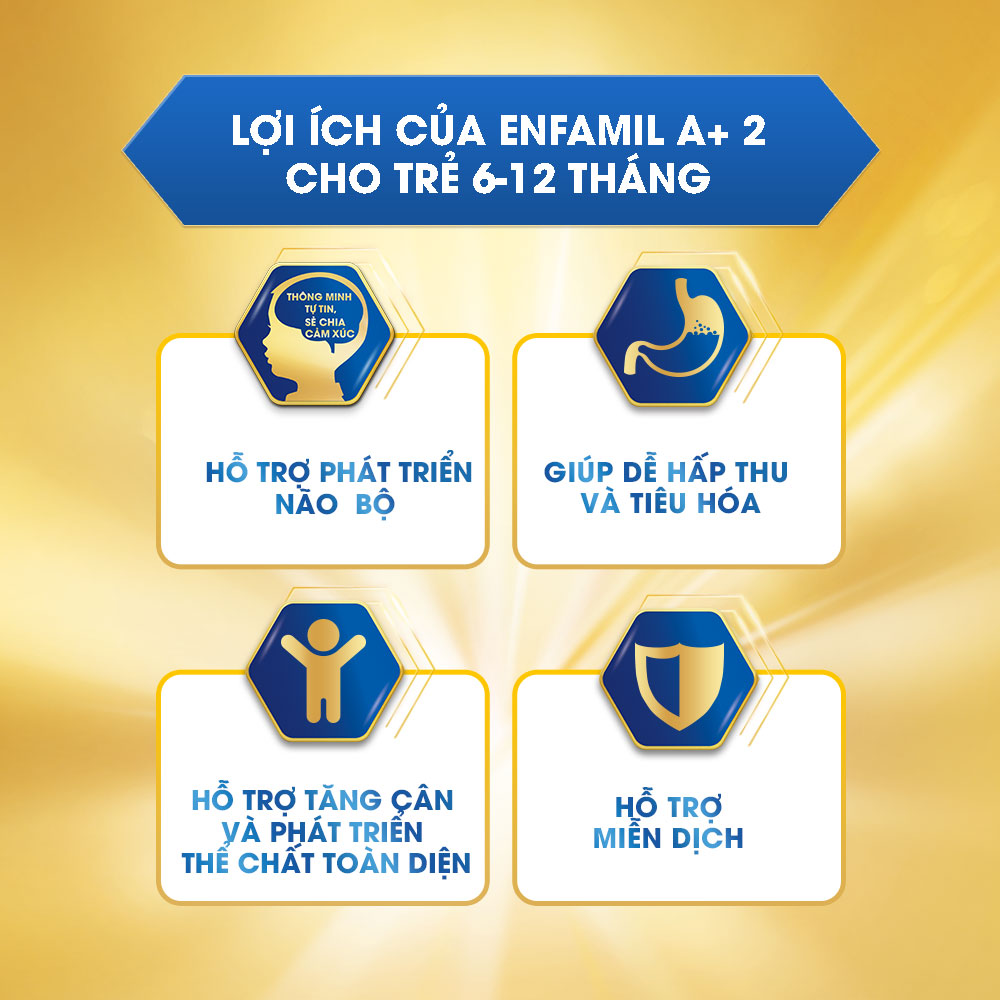 Sữa Bột Enfamil A+ 2 (400g)