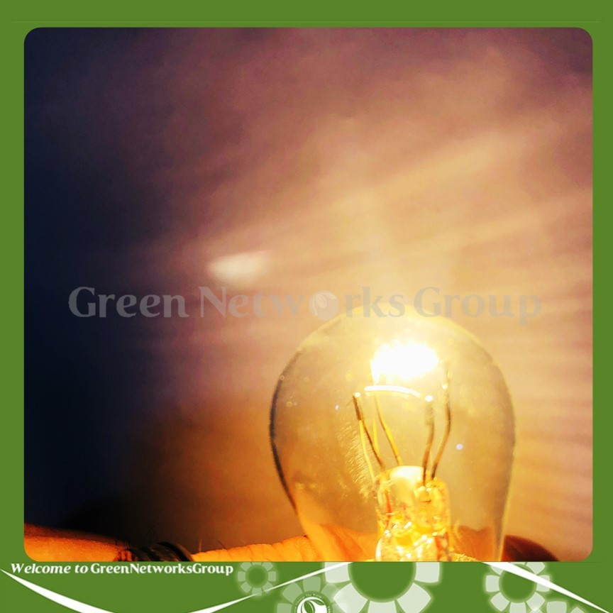 Bóng đèn hậu Halogen Sun Shing 12V - 24V 21W - Đèn hậu xe máy Sun Shing Green Networks Group ( 1 Đèn )