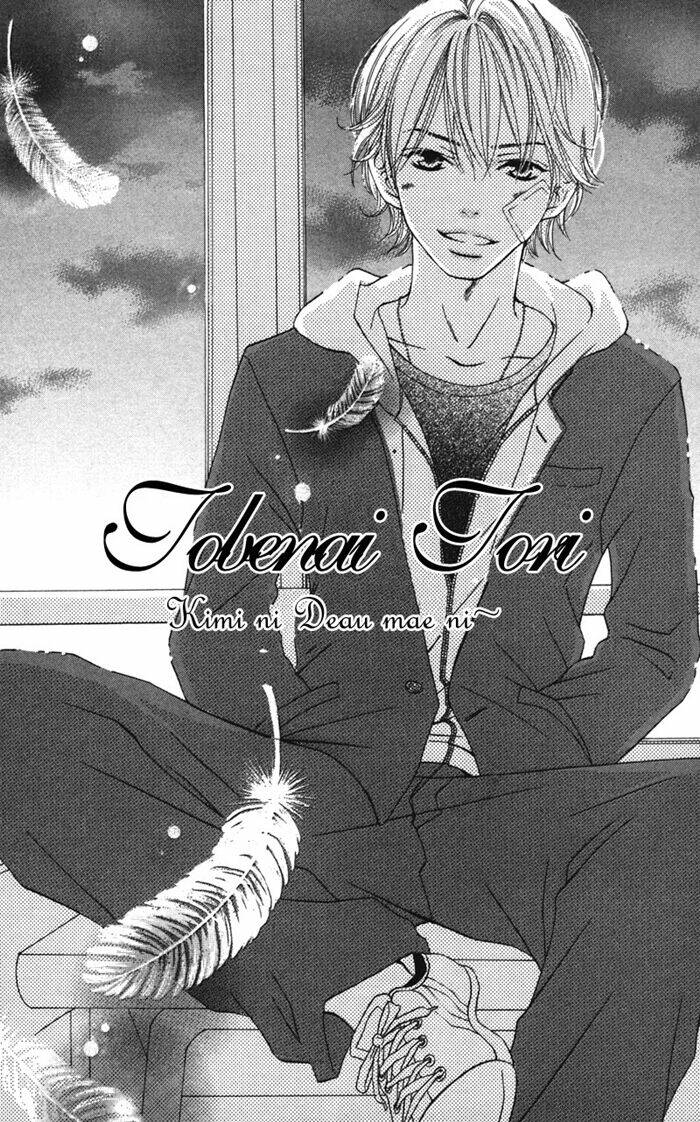 tobenai tori chapter 4 2