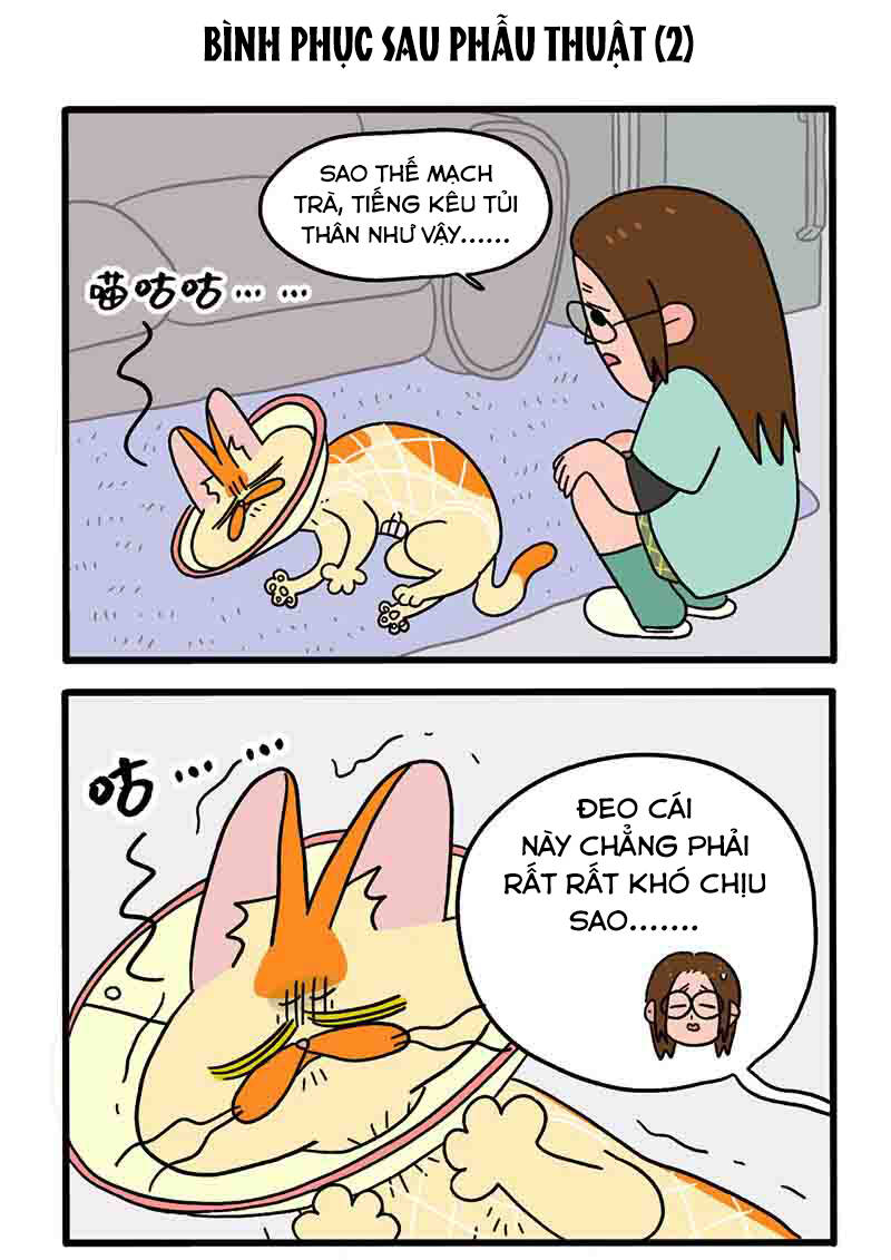 a mãn và mạch trà chapter 23 3