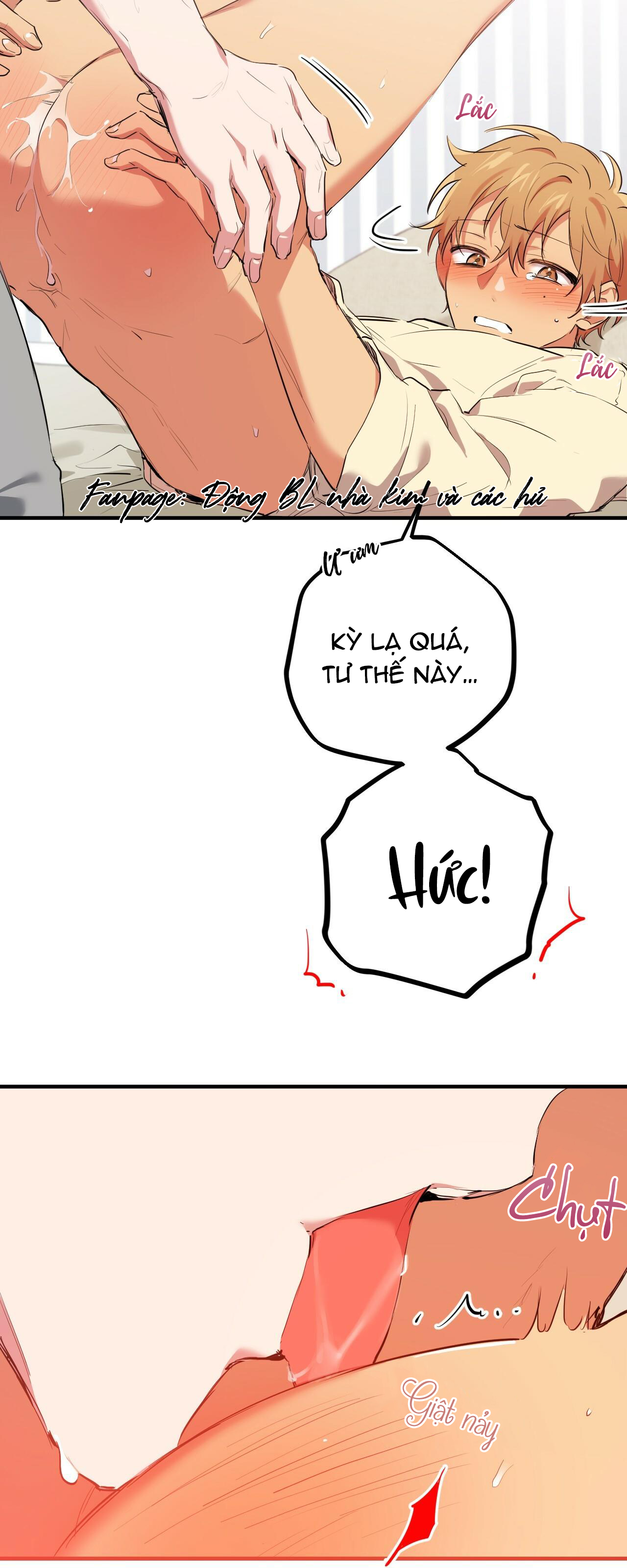 những chú thỏ của hapypy chapter 38 21