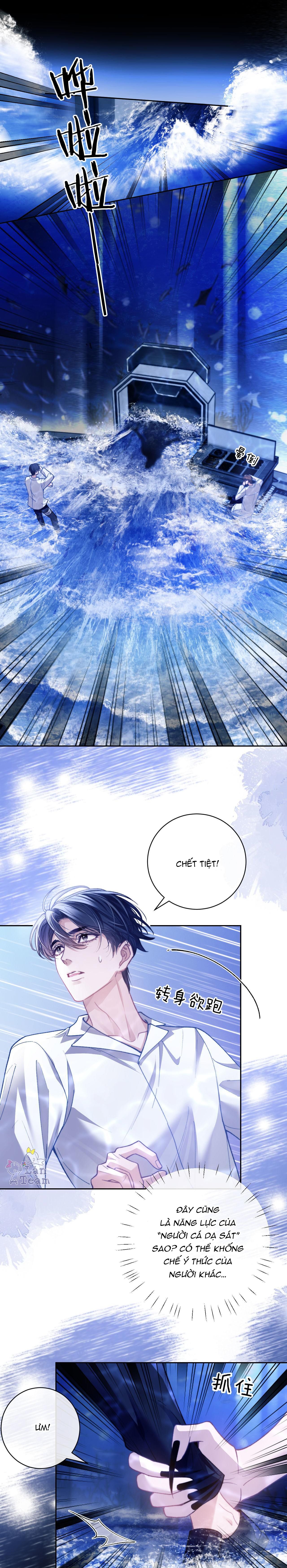 người cá desahrow chapter 10 6