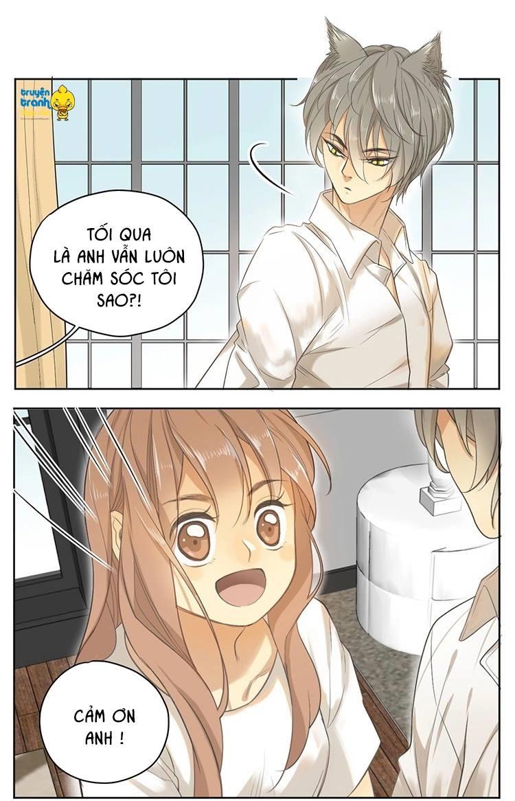 cứu mạng ! loài mèo thống trị thế giới rồi ! chapter 16 19