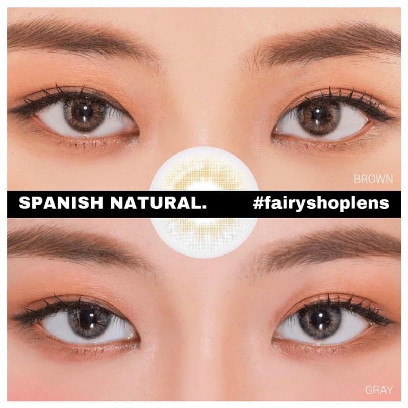 Áp tròng Spanish Gray 14.0mm - FAIRY SHOP CONTACT LENS độ cận 0 đến 8