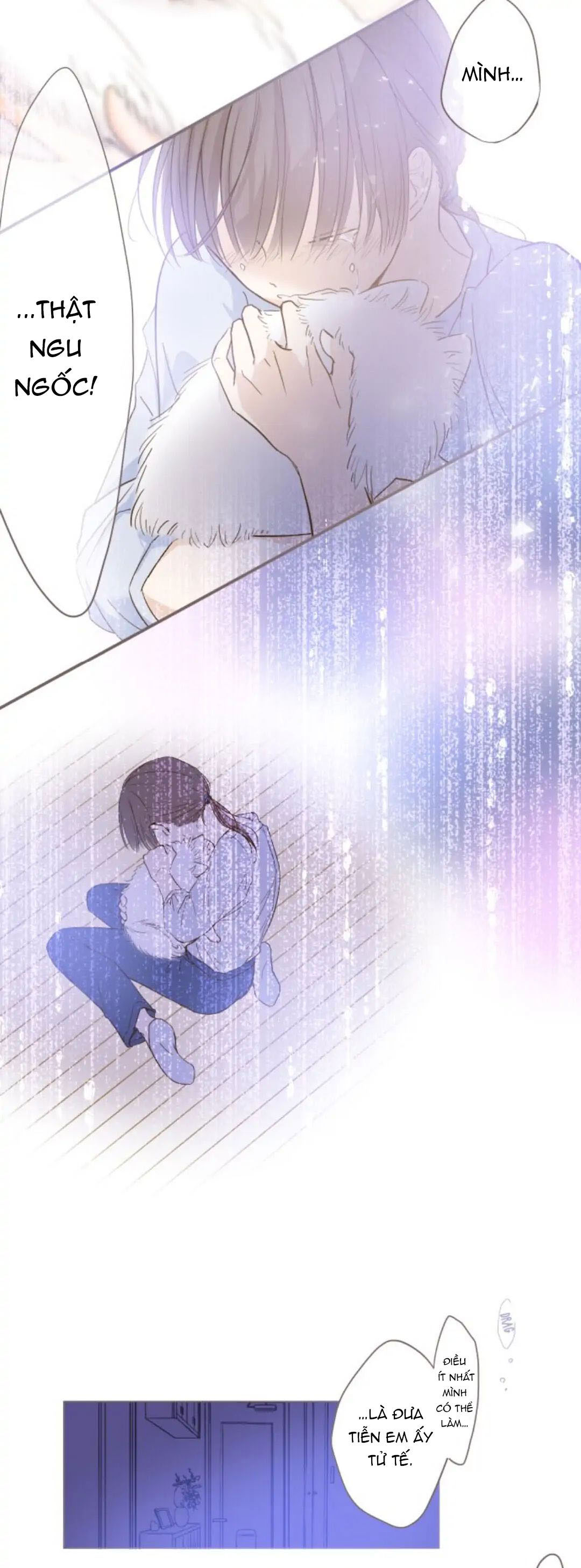 tôi được bảo vệ bởi kỵ sĩ rồng chapter 1.2 12