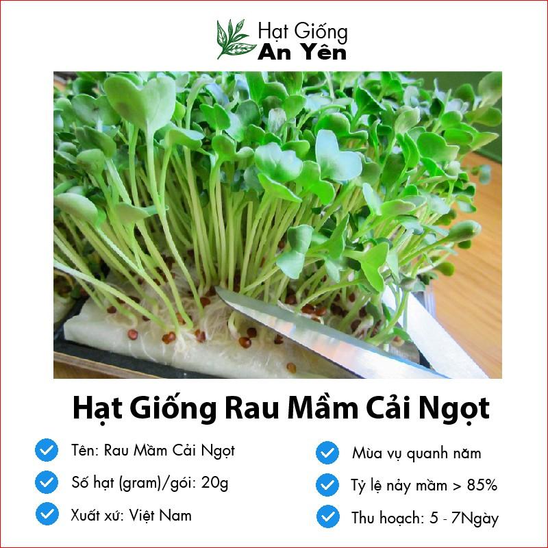 Hạt giống Rau Mầm Cải Ngọt thu hoạch sớm, dễ trồng, nảy mầm cao, sinh trưởng khoẻ,