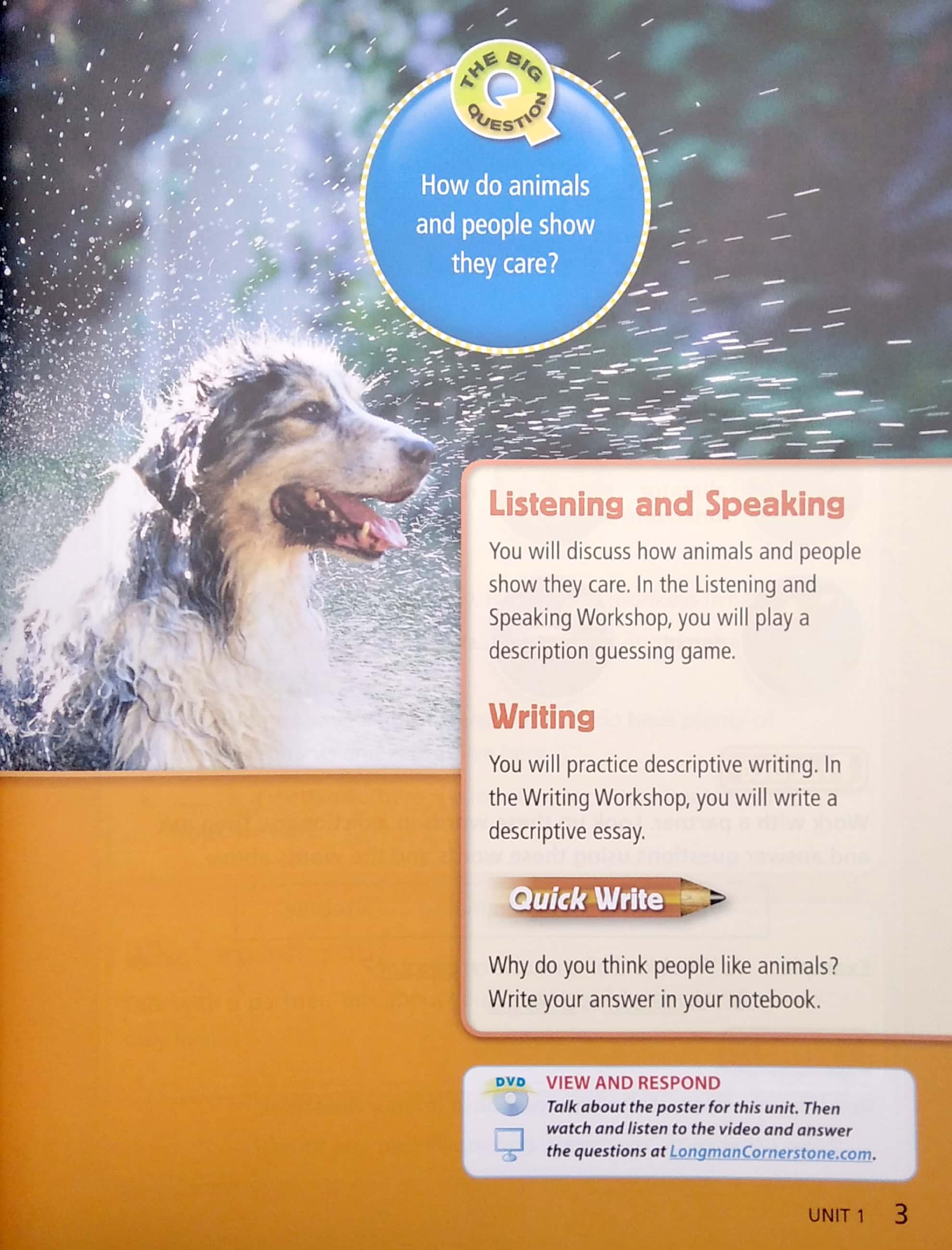 Sách ngoại văn: Cornerstone 2013 Student Edition Grade 4