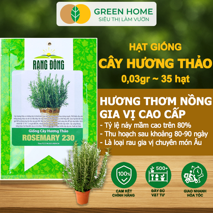 Hạt Giống Cây Hương Thảo GreenHome, Rosemary, Gói 0,03g~35 hạt, Dễ Trồng, Thu Hoạch Quanh Năm G06