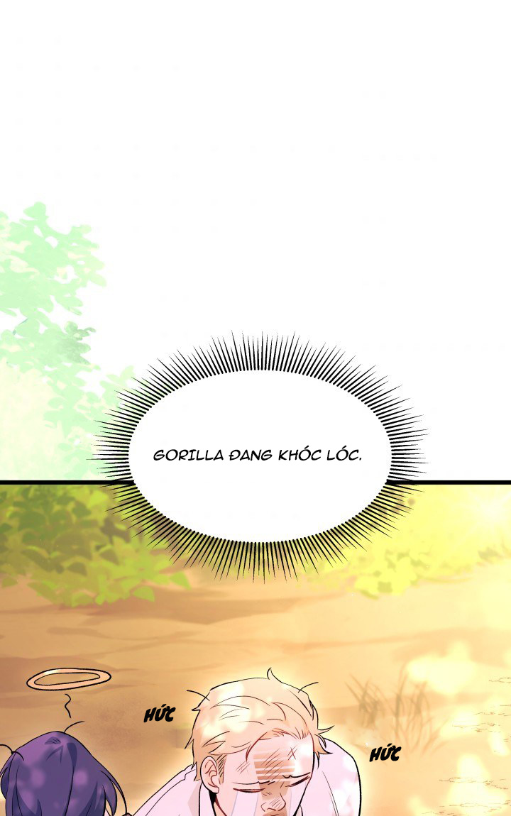 mối liên kết giữa báo đen và bé thỏ chapter 42.1 43