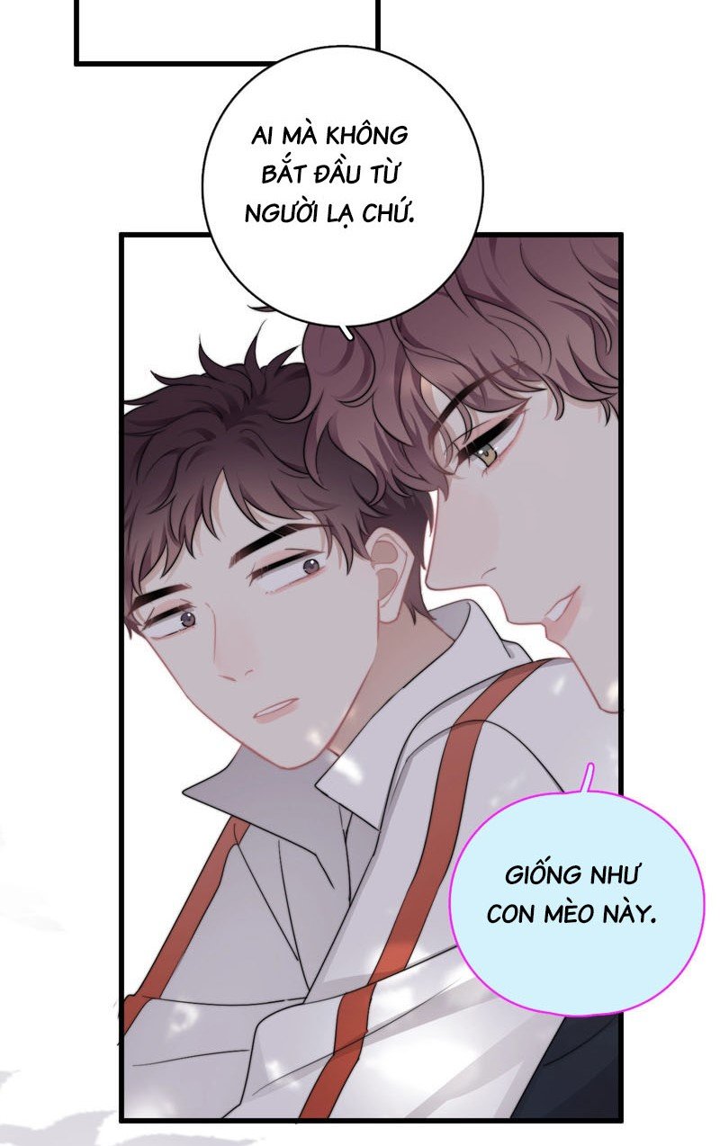 người đàn ông ấy khiến tôi không thể cưỡng lại chapter 11 40