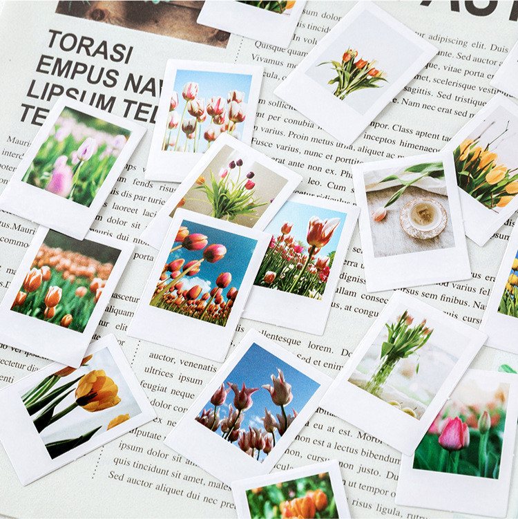 Sticker chủ đề Hoa Tulip - Hộp 46 miếng dán trang trí sổ tay Bullet Journal - M111