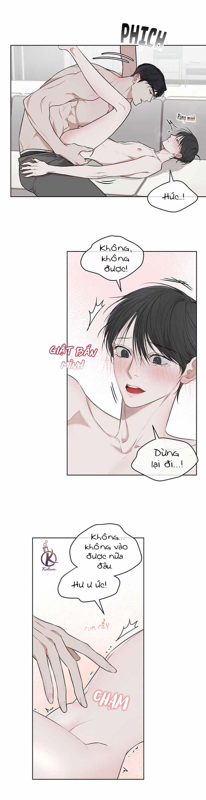 hình thái khởi sinh chapter 23 7