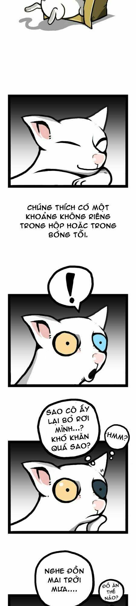 earth, human, and animal chapter 12 18