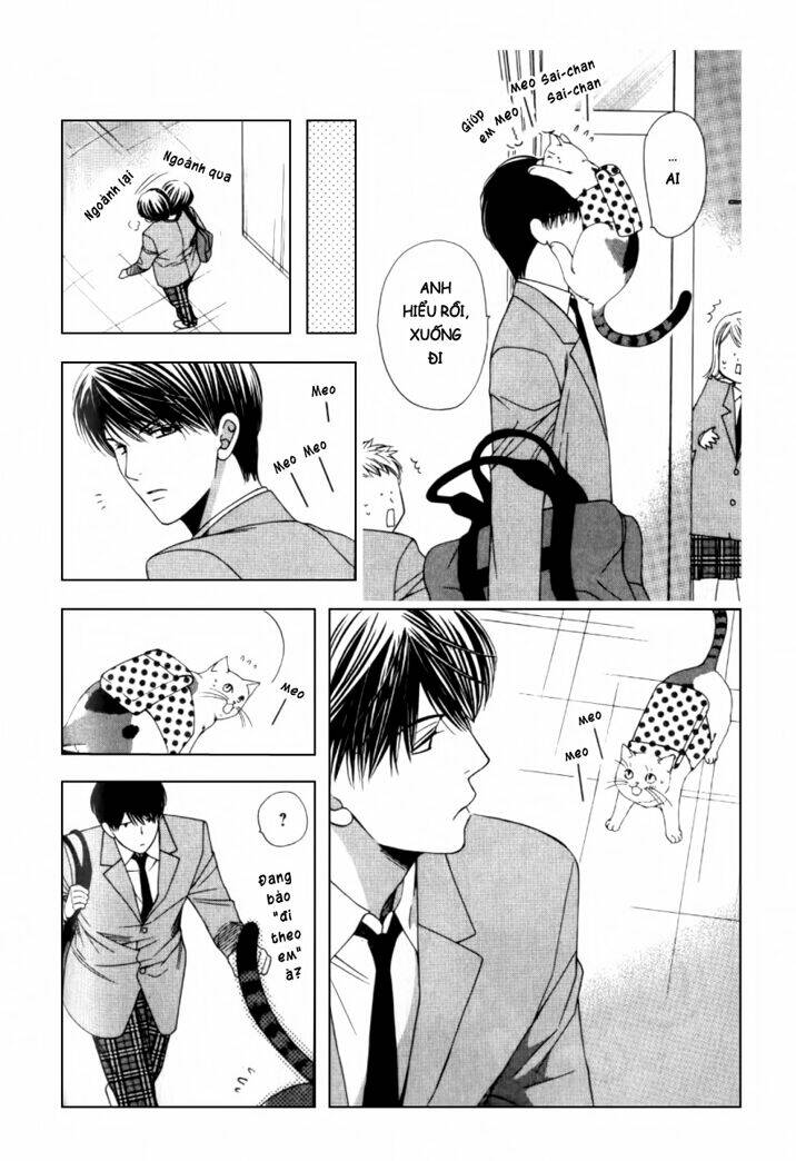 neko neko honey chapter 2 27