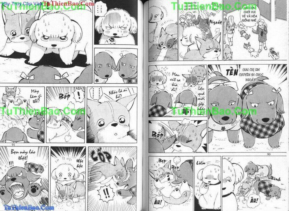 chó con mo mo chapter 5 46