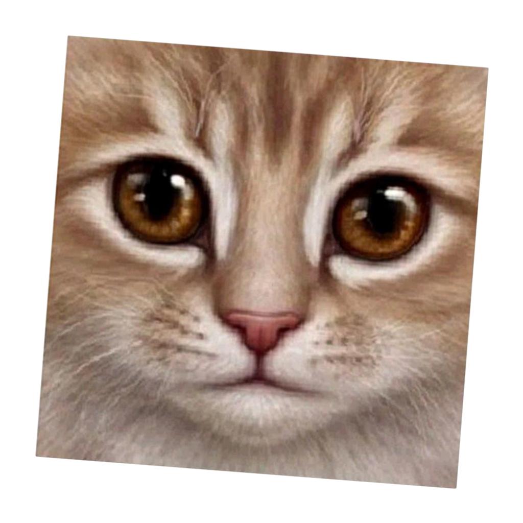 DIY 5D Cat Pattern Diamond Embroidery Rhinestone Painting Cross Stitch Kit