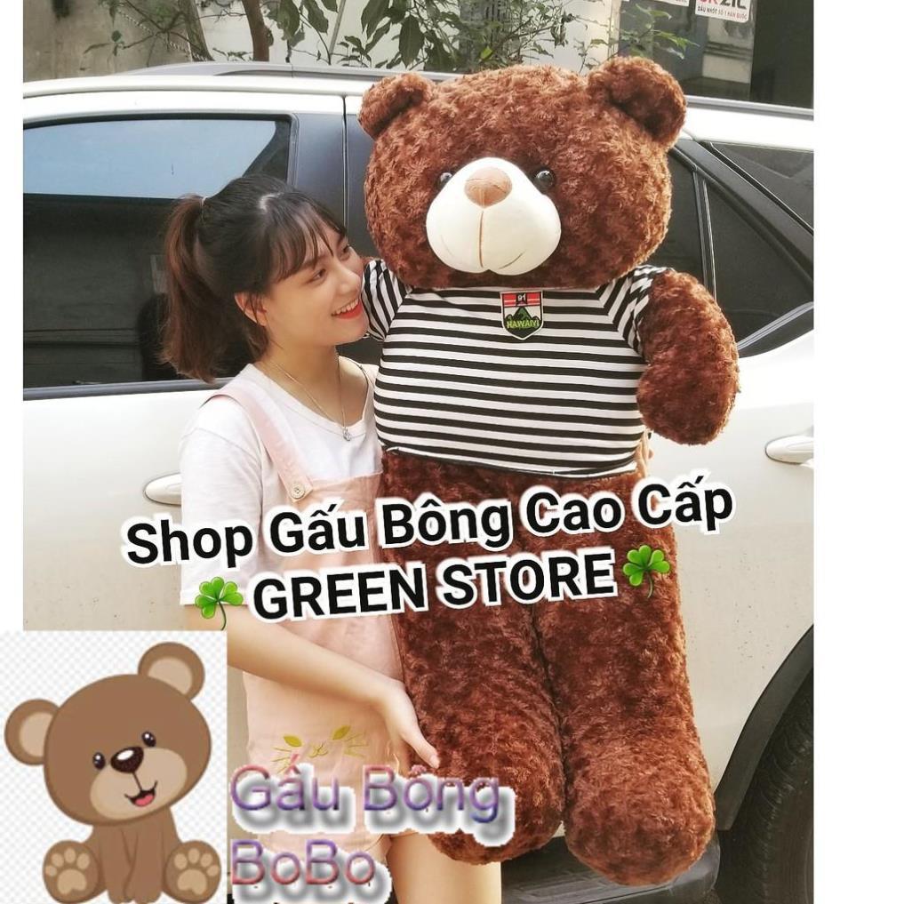 1M4 khổ, Gấu Bông teddy 1m4 khổ cao 1M2 Rẻ Vô Địch