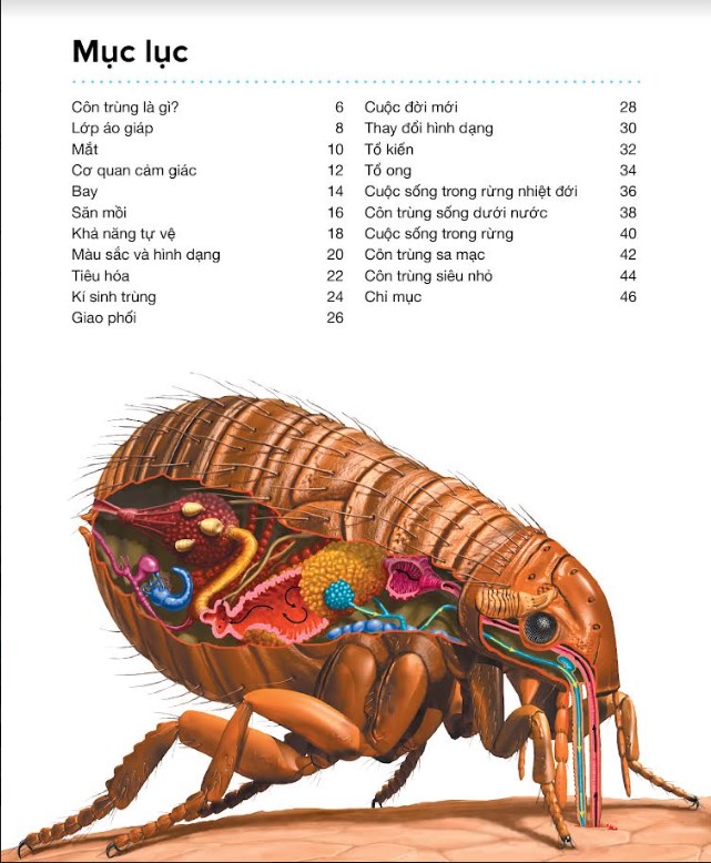 Hành Trình Khám Phá - Côn Trùng