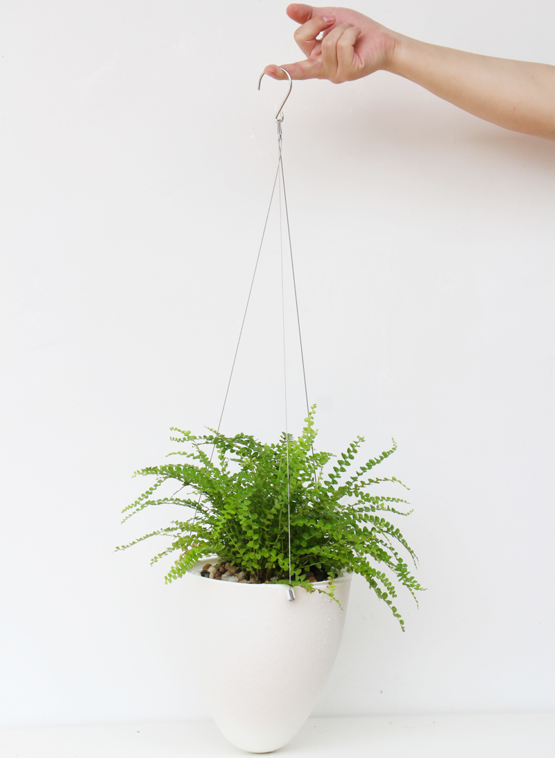 Chậu cây treo ban công Oliz D09 - Chậu trồng cây thông minh tự tưới