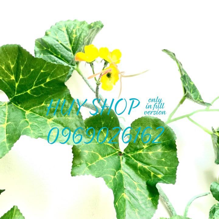 DÂY TRÁI NHÂN TẠO - DÂY TRÁI DƯA LEO TRANG TRÍ NHÀ CỬA