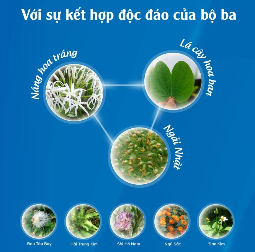 Vương Bảo Thái Minh - Dành cho người phì đại tiền liệt tuyến - Lọ 80 viên