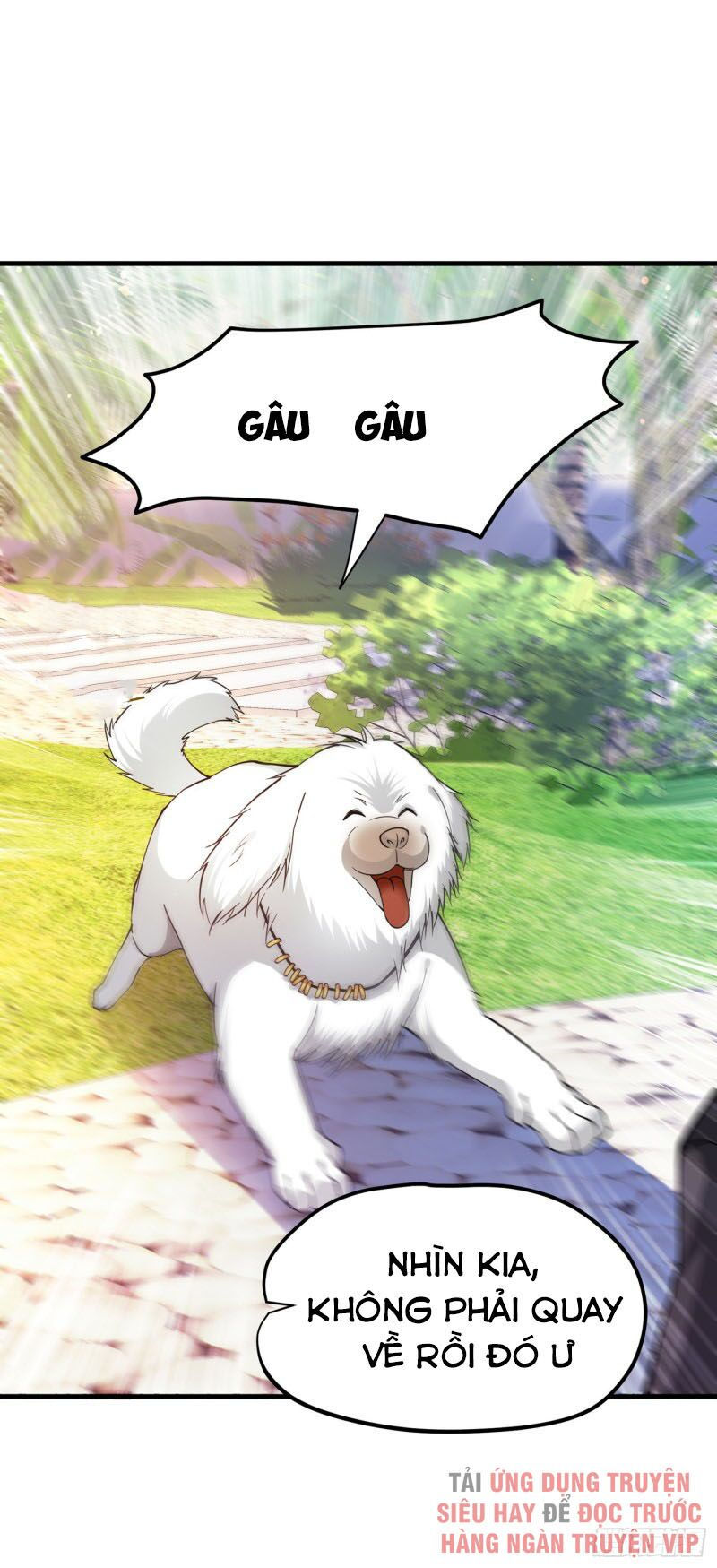 tối cường thần y tại đô thị chapter 171 37