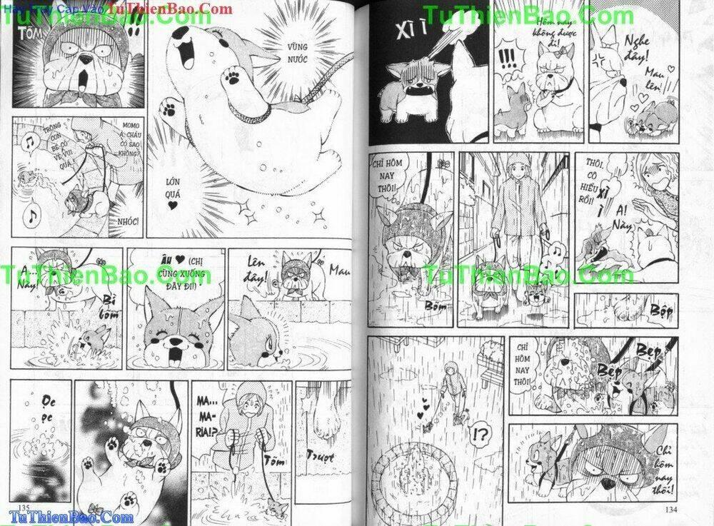 chó con mo mo chapter 5 68