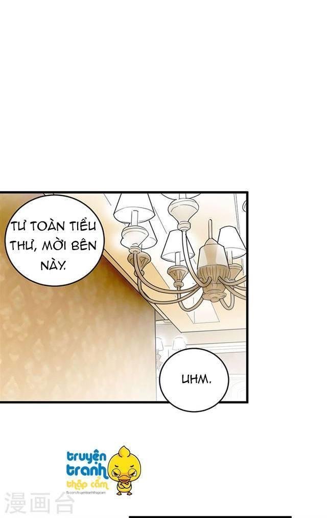 nhạ thượng thủ tịch tổng tài chapter 199 23