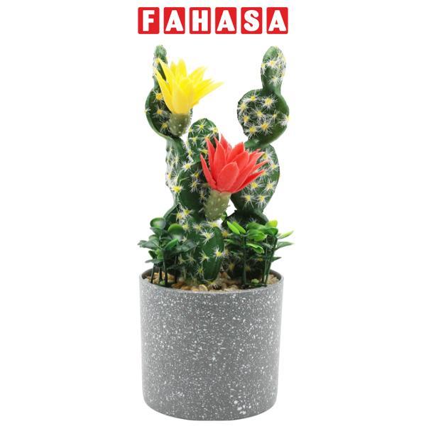 Chậu Cây Hoa Xương Rồng Nhựa Trang Trí - WanLongDa 770-9