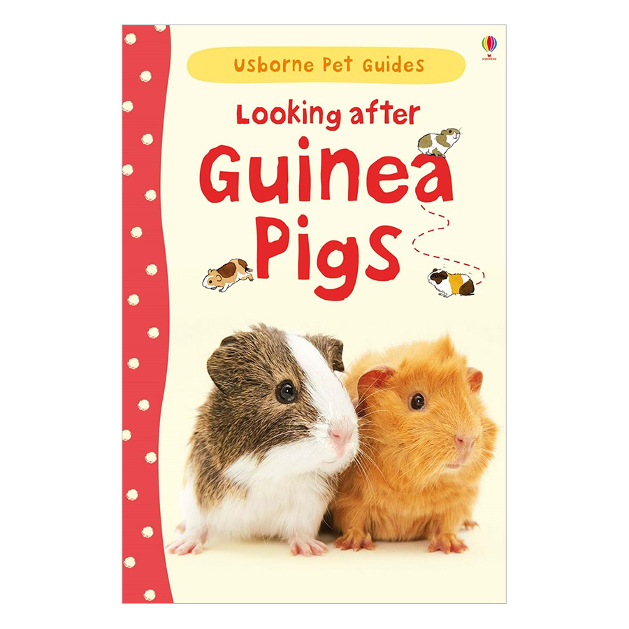 Usborne Pet Guides: Looking after Guinea Pigs