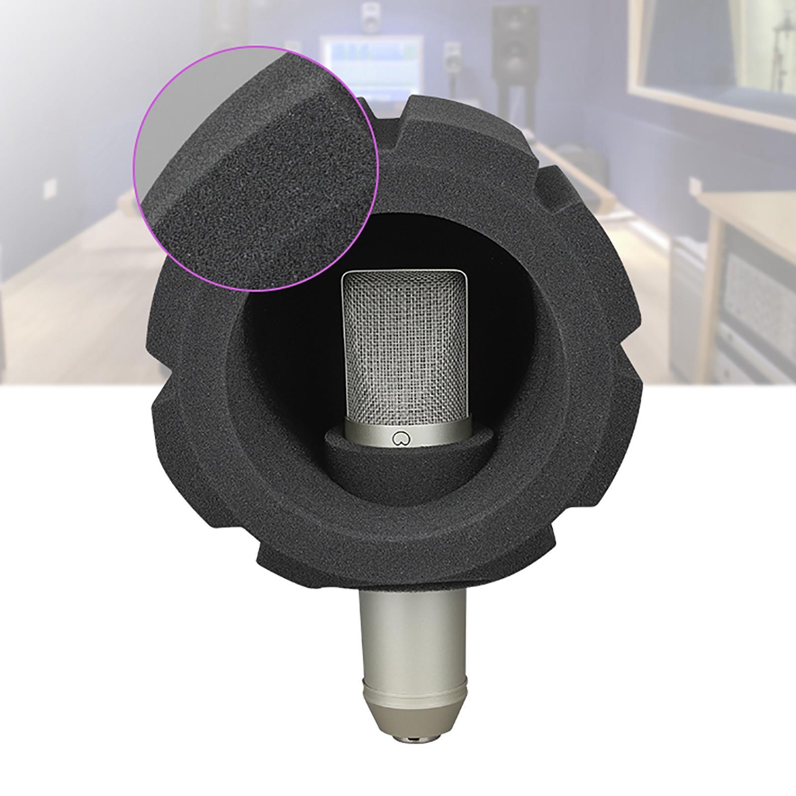 F2 Microphone Screen Acoustic Filter Sponge, Wind Screen Foam Cover for Recording Isolation Shield to Filter Vocal