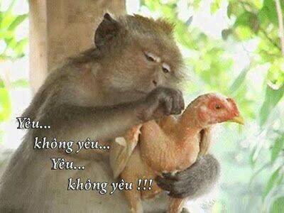 just troll chapter 21 12