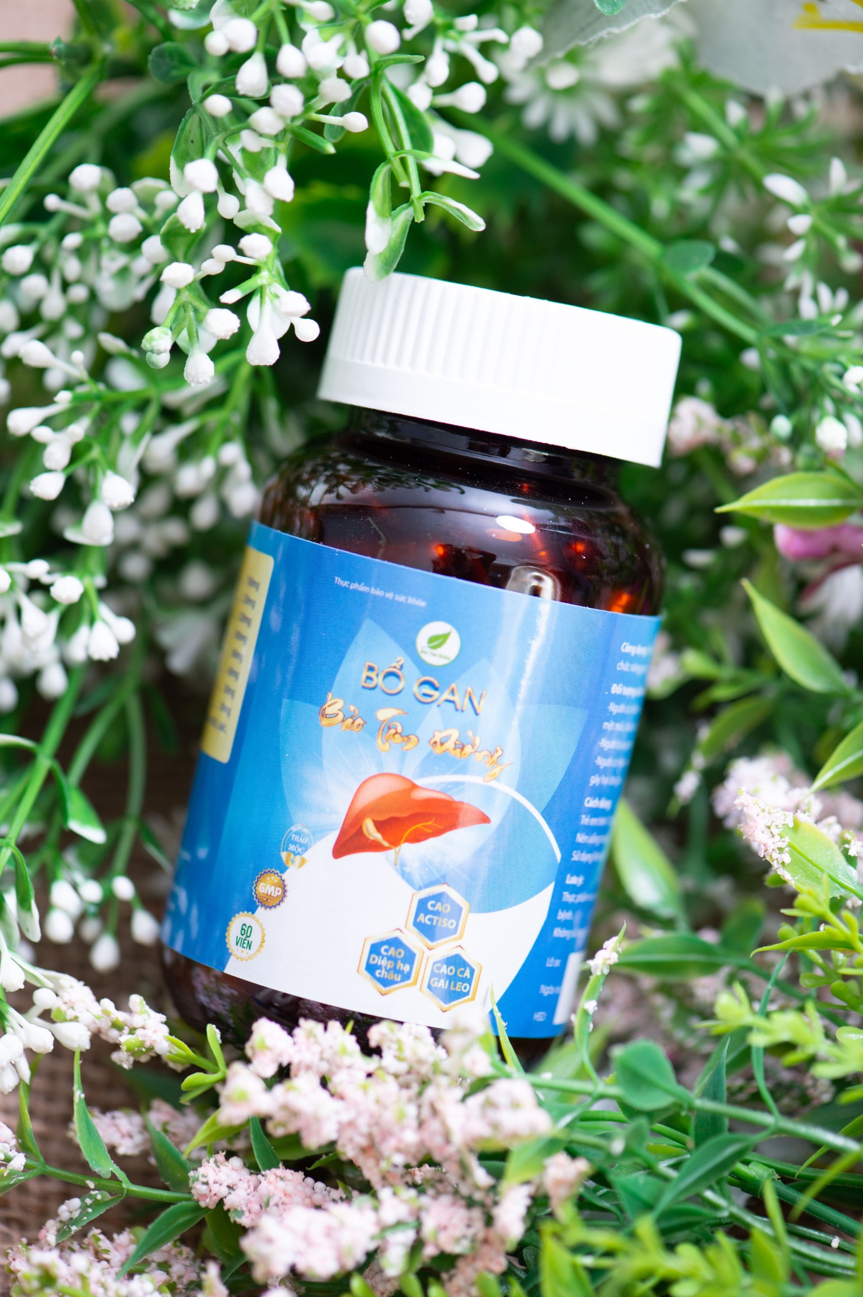 Viên bổ gan Bảo Tâm Đường, thanh thiệt thải độc gan, mát gan ngừa mụnchiết xuất từ cao cà gai leo, hộp 60 viên