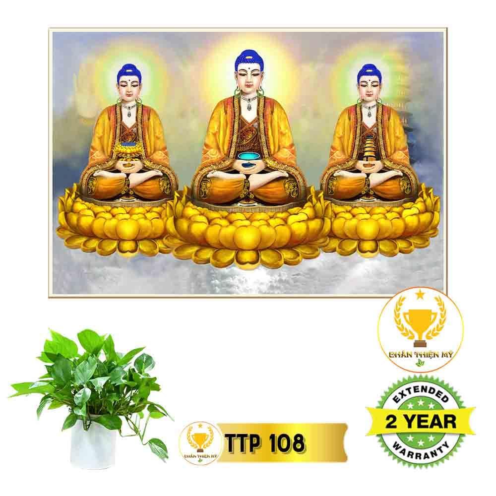 Tranh điện Tam Thế Phật_TTP11