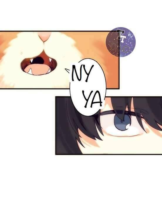 biểu đồ của linh mục chapter 4 35