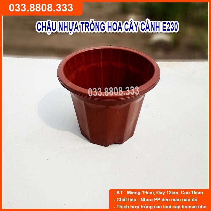 10 Chậu Nhựa Nâu Trồng Cây E230 - Chậu Bền Đẹp