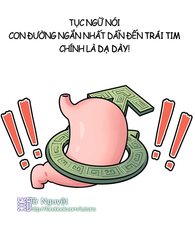 nếu lịch sử là một bầy mèo chapter 8 15