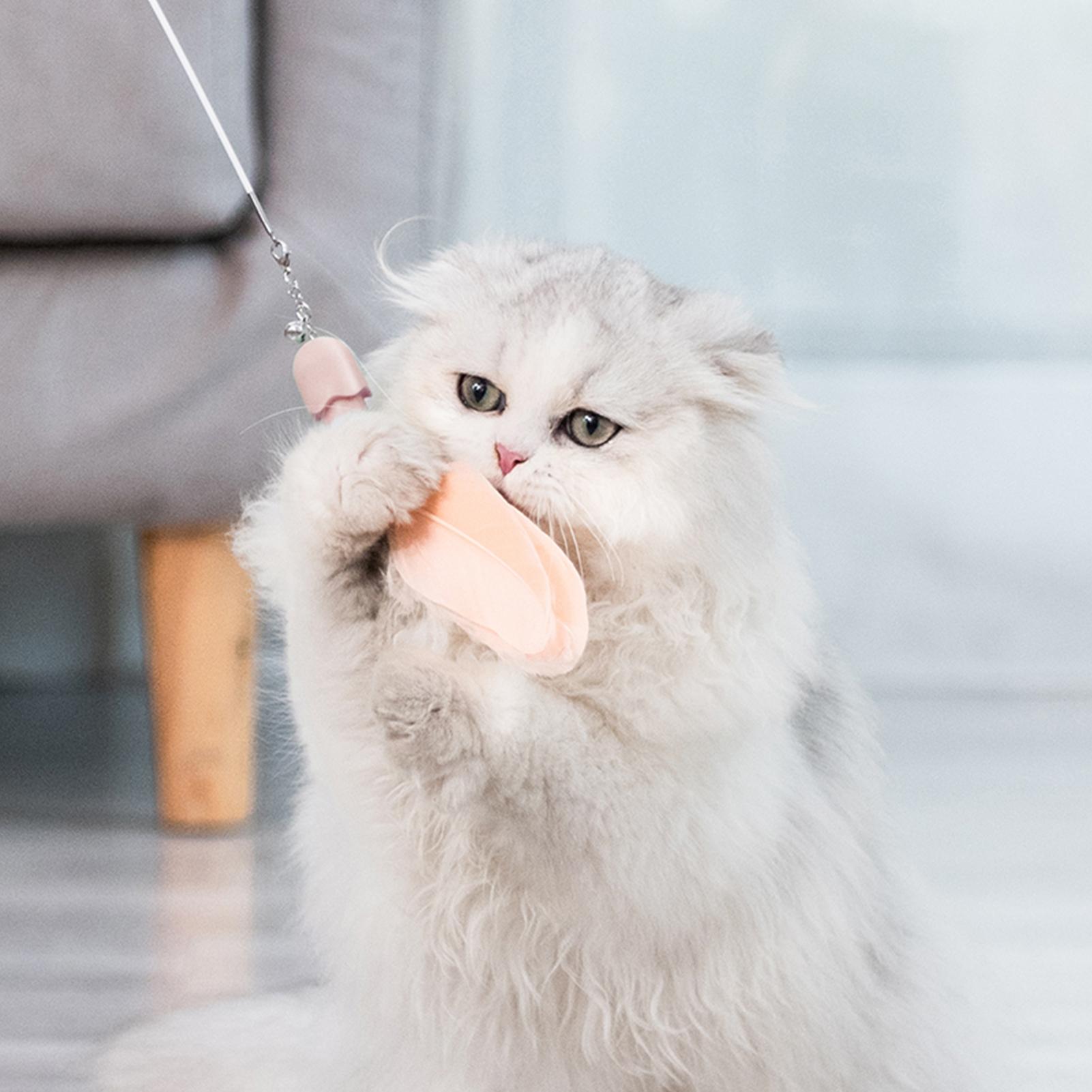 Cây Đồ Chơi Có Chuông Và Lông Vũ Cho Mèo Cưng