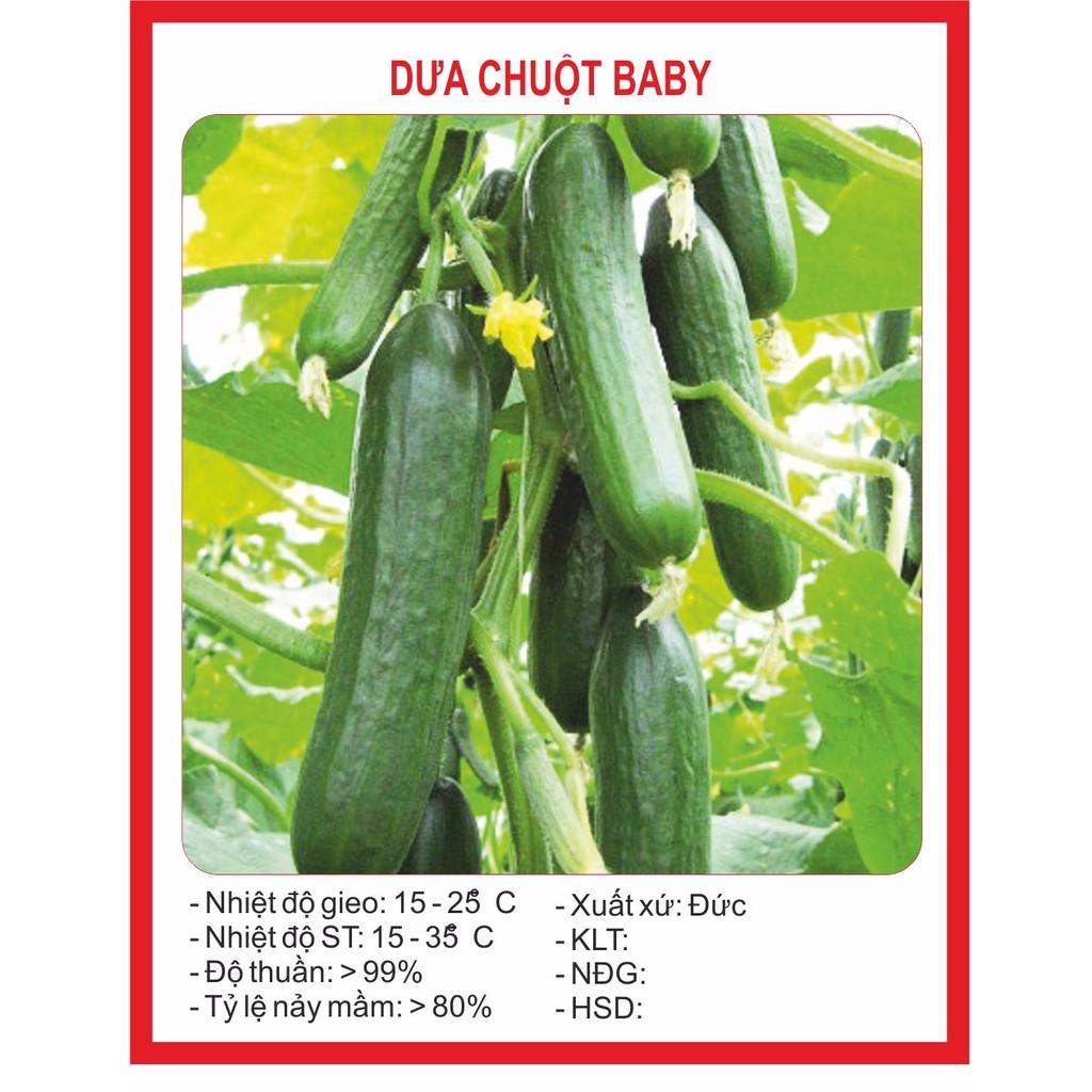 Hạt giống Dưa Chuột Chùm  10 Hạt