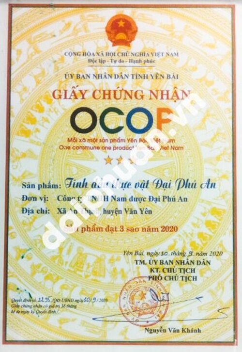 Tinh Dầu Thực Vật Đại Phú An Hỗ Trợ Xương Khớp
