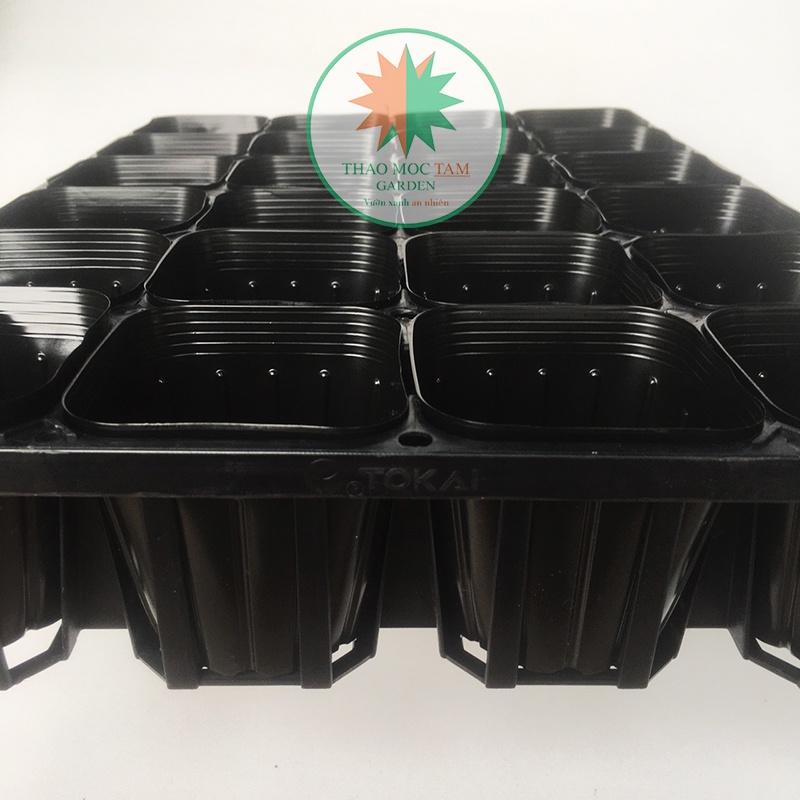 Combo 05 Bộ Khay 24 lỗ + 120 Chậu ươm 9.0 chuẩn Nhật - Khay ươm cây con, cây giống làm vườn