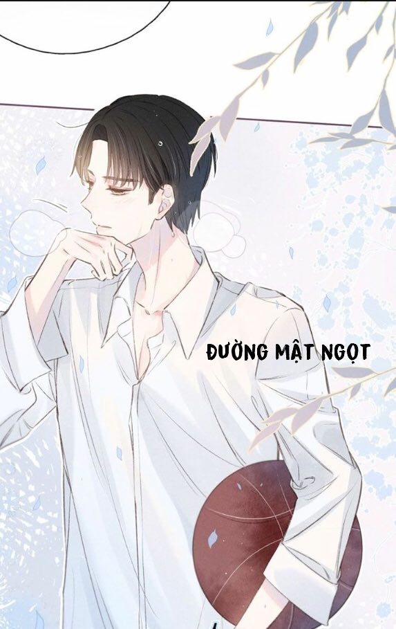 nỗi buồn của hoa cẩm tú cầu chapter 6 9