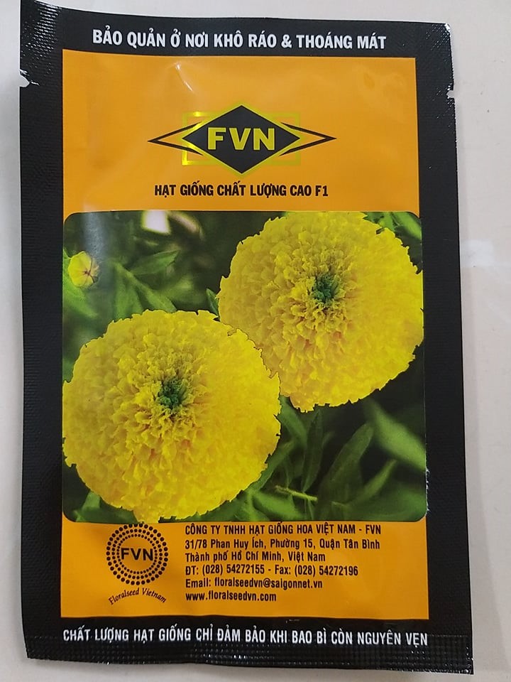 Hạt Giống Vạn Thọ Lùn FVN45 Mới